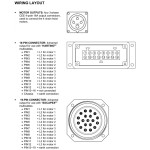 Rico-V8 Mk2 Briteq  8-kanaals Takelcontroller