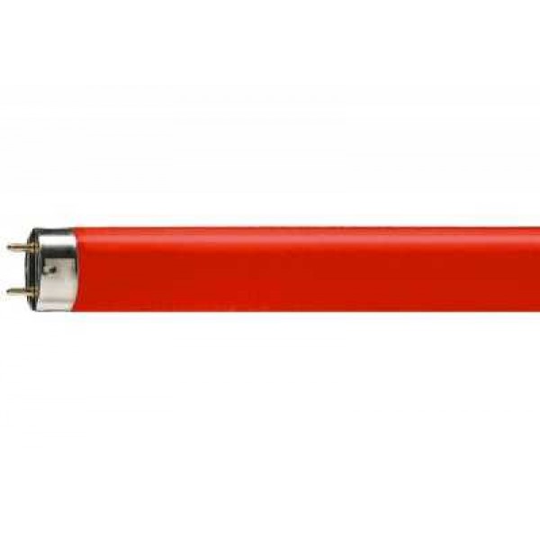 TL LAMP 150CM 58 WATT Rood OSRAM