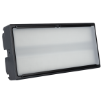 Titan Strobe 1000 FX Showtec LED Strobe/Wash with RGB Effects