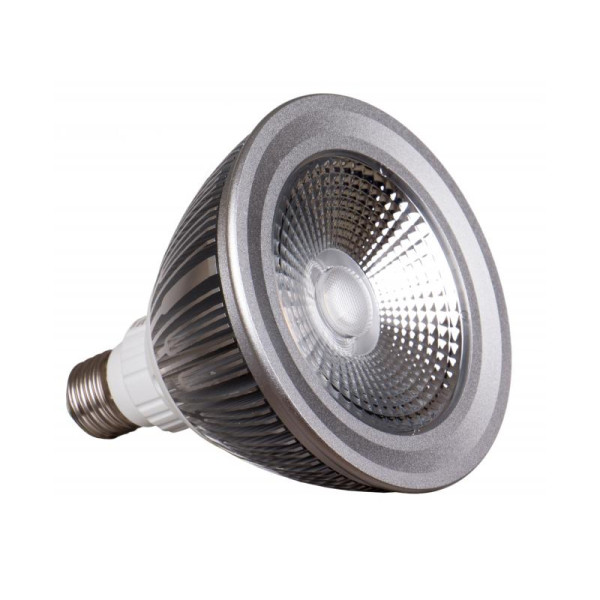 LED-PAR38-18W-WW-24D