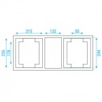 Case voor 2x Phantom 65 Showtec Value Line