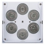 Accu Color Wit JB-Systems
