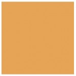 E-COLOUR #205 CT ORANGE ROSCO