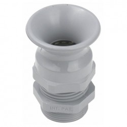TROMPETWARTEL PG 21 DAP AUDIO