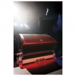 M15 Dap Audio Active 15" Floormonitor 350W