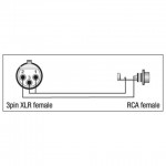 XGA33 XLR FEMALE 3 POLE TO RCA FEMALE DAP AUDIO