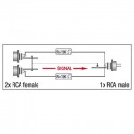 XGA38 2 X RCA FEMALE TO RCA MALE DAP AUDIO