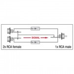 XGA38 2 X RCA VROUWELIJK NAAR RCA MANNELIJK DAP AUDIO