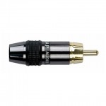 RCA PLUG DAP AUDIO VERGULD ZWART.