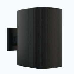 Desono DX-S8-B Black 8-inch Outdoor Speaker